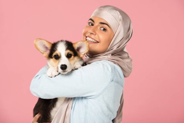 türban güzel müslüman kadın galce Corgi köpek yavrusu tutan, pembe izole