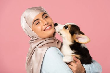 türban gülümseyen müslüman kız galce Corgi köpek yavrusu tutan, pembe izole