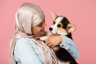 türban güzel müslüman kız galce Corgi köpek yavrusu tutan, pembe izole