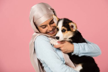 sevimli corgi köpek yavrusu tutan hijab gülümseyen arap kadın, pembe izole