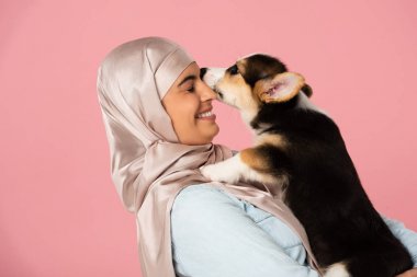 sevimli corgi köpek yavrusu tutan hijab gülümseyen İslami kız, pembe izole
