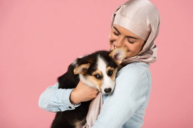 türbanlı mutlu müslüman kız sevimli corgi köpek yavrusu tutan, pembe izole