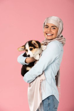 türbanlı müslüman kız sevimli corgi köpek yavrusu tutarak, pembe izole