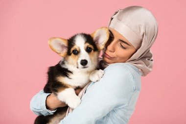 türbanlı mutlu arap kız sevimli corgi köpek yavrusu tutan, pembe izole
