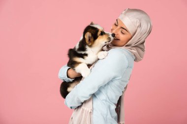 türbanlı arap kız sevimli corgi köpek yavrusu tutarak, pembe izole
