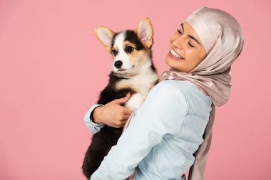 türban neşeli müslüman kadın galce Corgi köpek yavrusu tutan, pembe izole