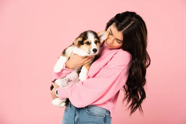 Happy Attractive Girl Holding Cute Puppy Isolated Pink — Stock Photo, Image