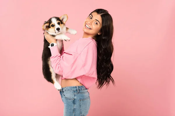 Leende Kvinna Som Innehar Walesiska Corgi Valp Isolerad Rosa — Stockfoto