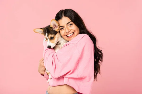 Brunette Young Woman Holding Welsh Corgi Puppy Isolated Pink — Stock Photo, Image