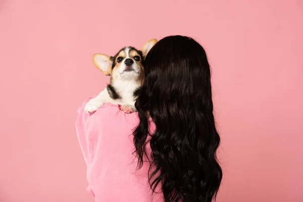 Visão Traseira Menina Morena Segurando Cachorro Corgi Isolado Rosa — Fotografia de Stock