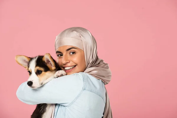 smiling muslim woman in hijab holding Corgi puppy, isolated on pink