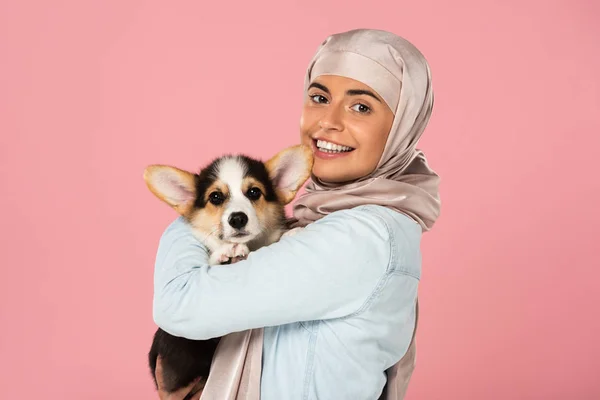 Mujer Musulmana Sonriente Hijab Sosteniendo Cachorro Galés Corgi Aislado Rosa — Foto de Stock