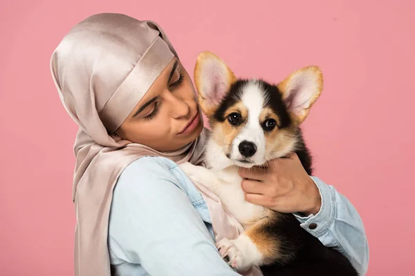 Menina Muçulmana Hijab Segurando Welsh Corgi Cão Isolado Rosa — Fotografia de Stock