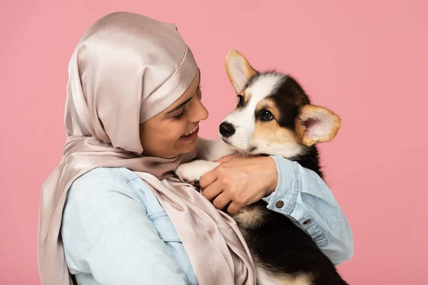 Bela Menina Muçulmana Hijab Segurando Cachorro Galês Corgi Isolado Rosa — Fotografia de Stock