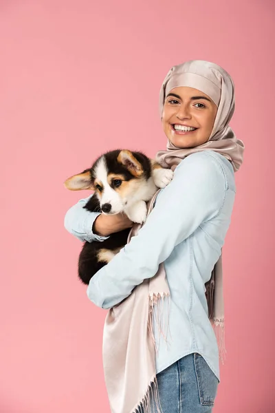 Muslim Girl Hijab Holding Cute Corgi Puppy Isolated Pink — Stock Photo, Image