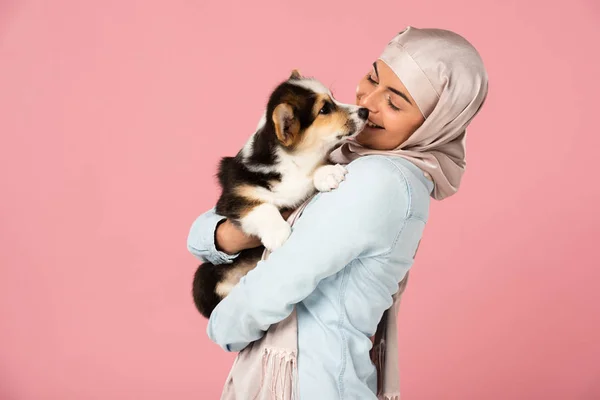 Menina Árabe Hijab Segurando Filhote Cachorro Bonito Corgi Isolado Rosa — Fotografia de Stock
