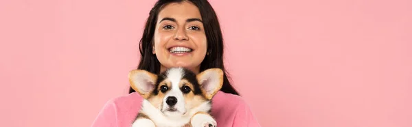 Menina Feliz Segurando Bonito Cachorro Corgi Isolado Rosa — Fotografia de Stock