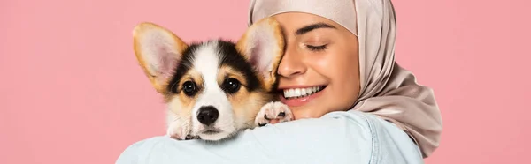 Smiling Muslim Woman Hijab Holding Welsh Corgi Puppy Isolated Pink — Stock Photo, Image