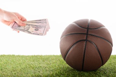 Beyazlara izole edilmiş yeşil çimlerde, basketbol topunun yanında dolar banknotlarıyla kadın eli, spor bahisleri konsepti.