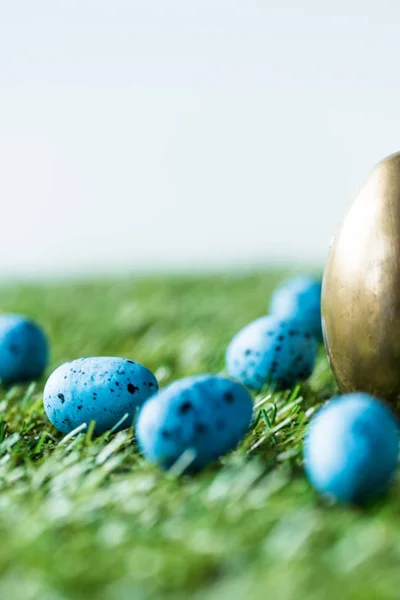 Selective focus of blue quail eggs, and golden chicken egg on green grass surface — Stock Photo