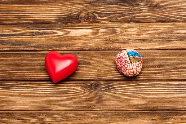 Top view of human brain and red heart on wooden surface — Stock Photo