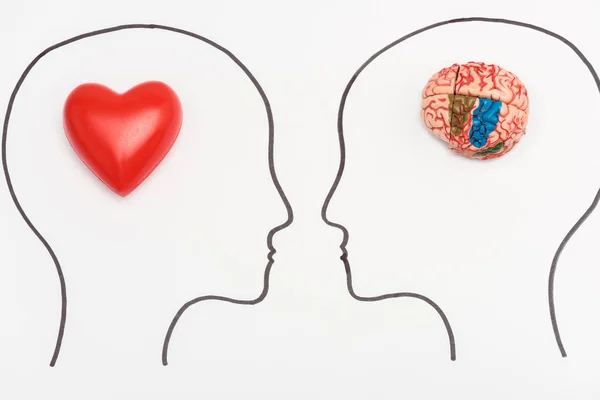 Heads with human brain and red heart isolated on white — Stock Photo