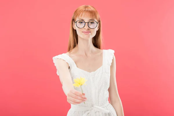 Vorderseite der schönen rothaarigen jungen Frau in weißem Kleid mit gelben Blume und Blick auf Kamera isoliert auf rosa — Stockfoto