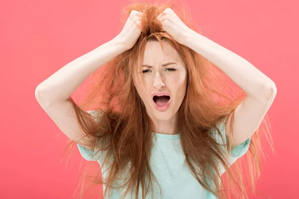 Raiva ruiva mulher tocando emaranhado cabelo e gritando isolado em rosa — Fotografia de Stock