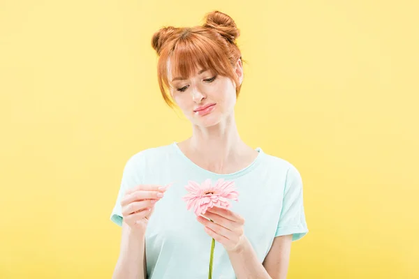 Front view of pensive redhead young woman in t-shirt holding flower and tearing off petals isolated on yellow — Stock Photo