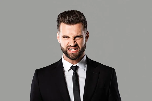 Angry bearded businessman in black suit isolated on grey — Stock Photo