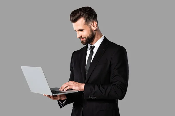 Smiling handsome businessman in black suit using laptop isolated on grey — Stock Photo