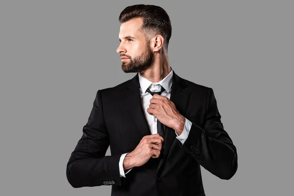 Elegante hombre de negocios guapo en traje negro fijación corbata aislado en gris - foto de stock