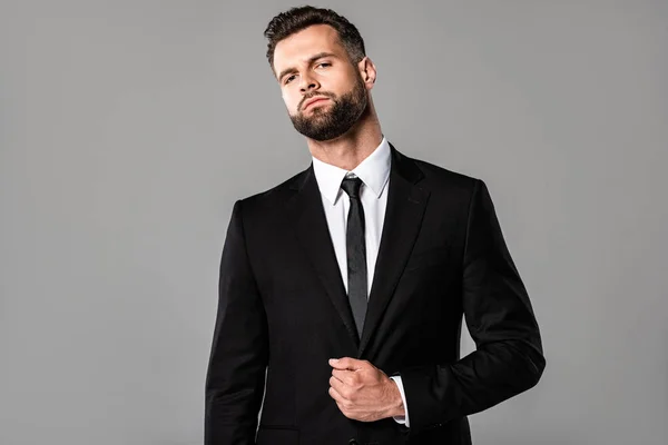 Homem de negócios bonito elegante confiante em terno preto isolado em cinza — Fotografia de Stock