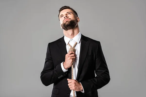 Depressed businessman in black suit tying noose on neck isolated on grey — Stock Photo