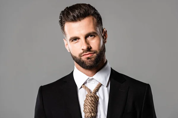 Businessman in black suit with noose on neck isolated on grey — Stock Photo