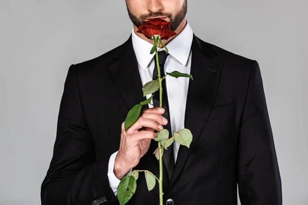 Vista recortada de elegante hombre de negocios guapo en traje negro oliendo rosa roja aislado en gris - foto de stock