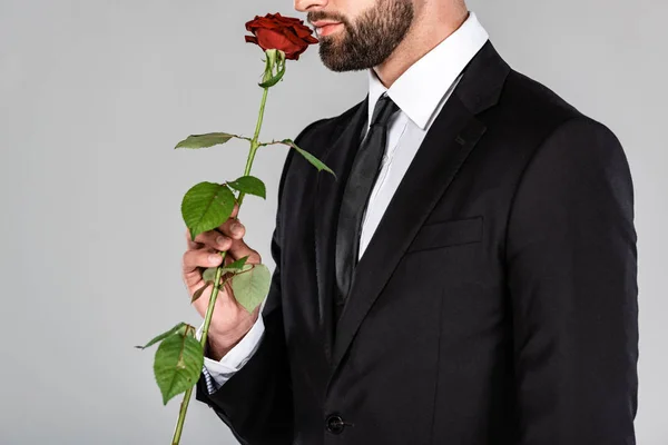 Partial view of elegant handsome businessman in black suit smelling red rose isolated on grey — Stock Photo