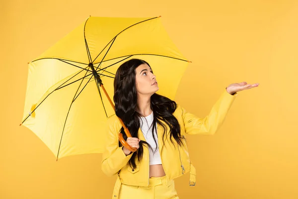 Bella ragazza premurosa in posa con ombrello, isolato su giallo — Foto stock
