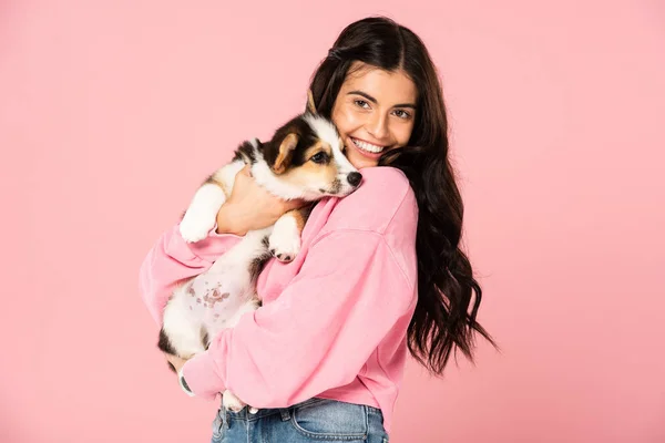 Smiling attractive girl holding Corgi puppy, isolated on pink — Stock Photo