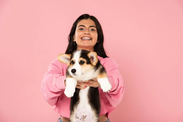 Sonriente chica sosteniendo galés corgi cachorro, aislado en rosa - foto de stock