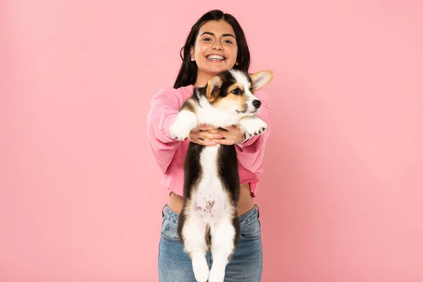 Счастливая привлекательная девушка, держащая щенка валлийского корги, изолированная на розовом — стоковое фото
