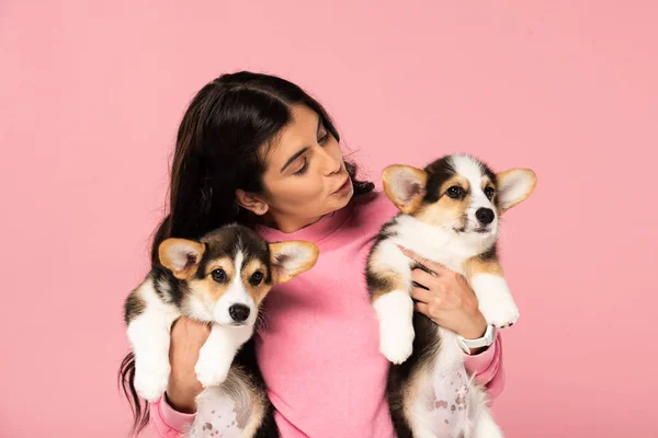 Beautiful woman holding cute puppies, isolated on pink — Stock Photo