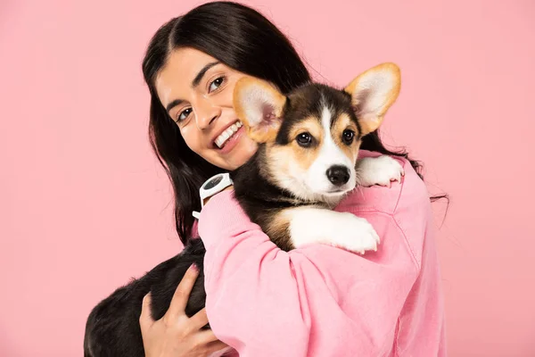 Allegra ragazza che tiene cucciolo di Corgi gallese, isolato su rosa — Foto stock