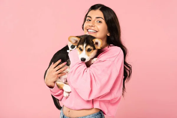 Fröhliche junge Frau mit walisischem Corgi-Welpen, isoliert auf rosa — Stockfoto