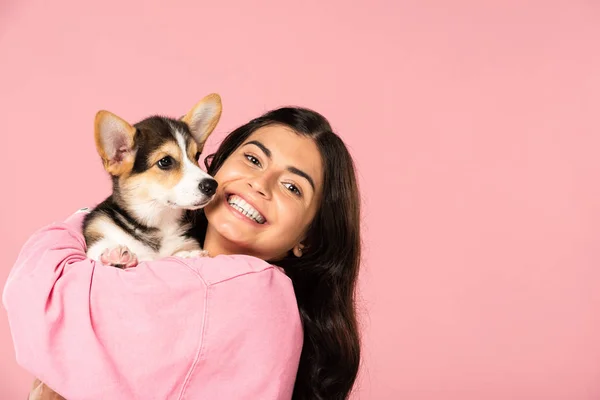 Hermosa sonrisa chica sosteniendo galés corgi cachorro, aislado en rosa - foto de stock