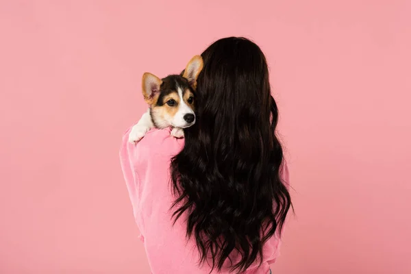 Vista posteriore della donna bruna con in braccio un cucciolo carino, isolato sul rosa — Foto stock