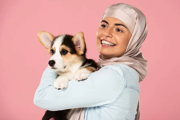 Beautiful smiling arabic woman in hijab holding Welsh Corgi puppy, isolated on pink — Stock Photo