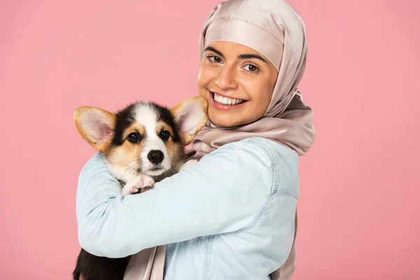 Smiling muslim woman in hijab holding Welsh Corgi puppy, isolated on pink — Stock Photo