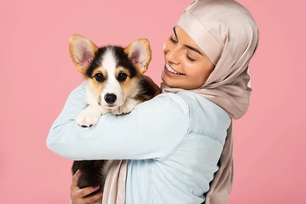 Muslim woman in hijab holding Welsh Corgi puppy, isolated on pink — Stock Photo