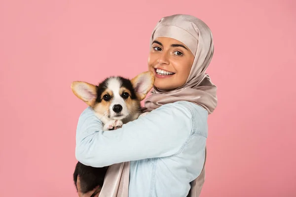 Donna musulmana sorridente in hijab con cucciolo di Corgi gallese, isolato su rosa — Foto stock